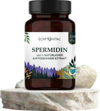 Spermidin